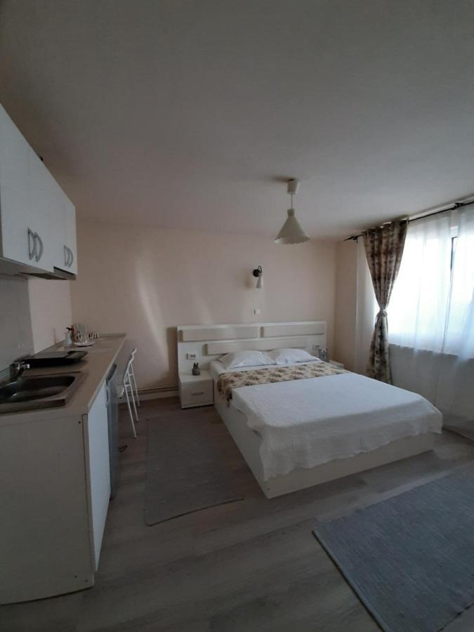 Casa Flamingo Hotel Craiova Luaran gambar