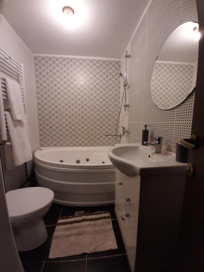 Casa Flamingo Hotel Craiova Luaran gambar
