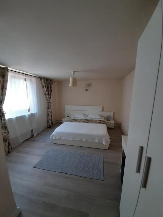 Casa Flamingo Hotel Craiova Luaran gambar